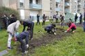 Team Building solidaires