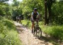 Activités extérieures sportives pour team-building, incentive (MICE)