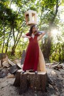 Prestation musicale au violon