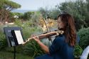 Prestation musicale au violon