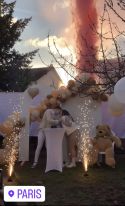 Feux d’artifices mariage gender reveal