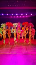 Spectacle de danse brésilienne - samba carnaval - capoeira - batucada