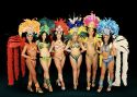 Spectacle de danse brésilienne - samba carnaval - capoeira - batucada