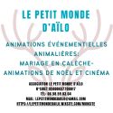 Les rennes du père-noël - traîneaux - père noël - calèches - mariages
