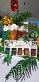 Bar à Cocktails de Martinique – L’Expérience Madiana