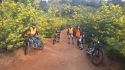 Balade trotinette électrique dans le Var ou les Alpes-Maritimes