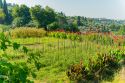 Domaine de la Cascade Parfumée