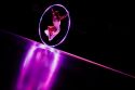 Aerial Adel Artiste de Cirque Performances d'exception