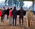 Mieux se connaître en équipe : Equicoaching et Agilité relationnelle
