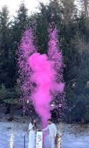 Feux d’artifices mariage gender reveal
